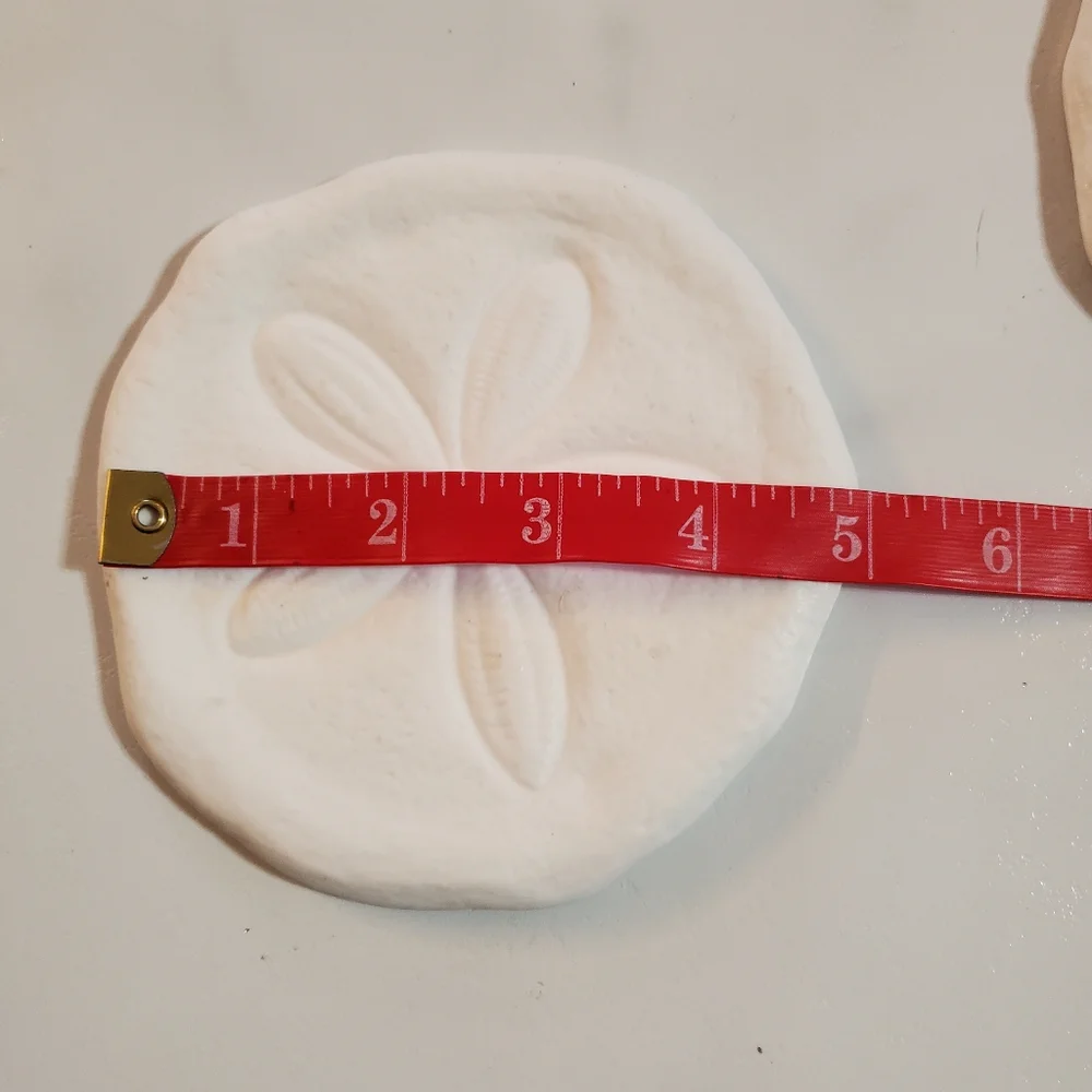 Kohls sand dollar